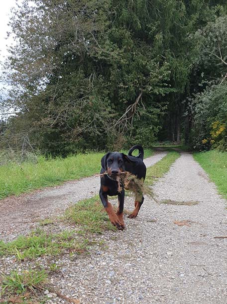 Kwaito vom Residenzschloss